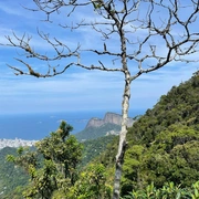 Pedra da Proa - Parque Nacional da Tijuca